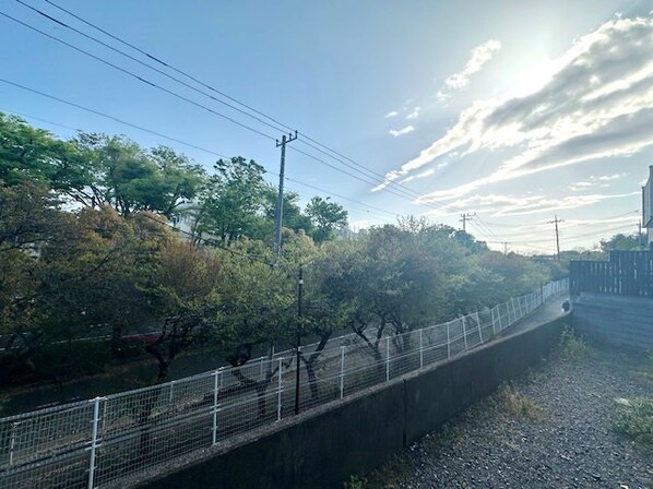 チェリーヒル八幡町の物件内観写真